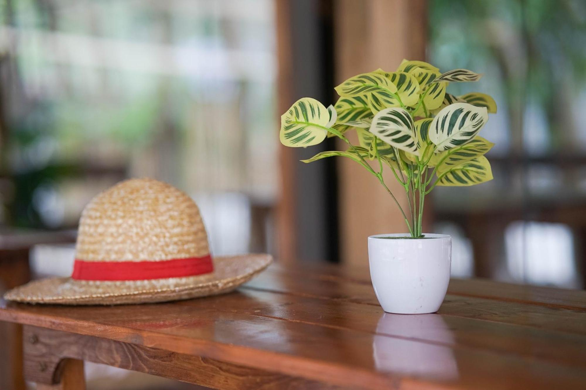 Hotel Straw Huts Liwliwa San Felipe  Zewnętrze zdjęcie